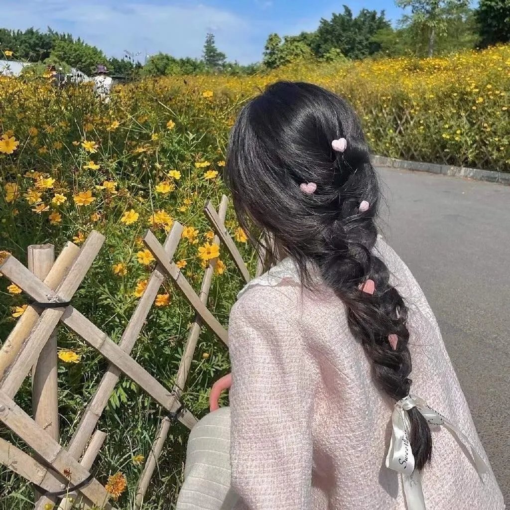 球场上的朝阳